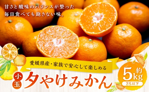 夕やけみかん小玉約5kg(1107)