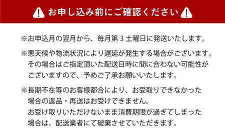 【全12回】『白銀の手打ちそば』おまかせ定期便 そば 蕎麦 ソバ 二八そば 出汁 料亭 大阪府高槻市/柚子香[AOAV010]