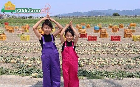 あわじ島完熟たまねぎ　10㎏　◆配送６月～12月下旬
