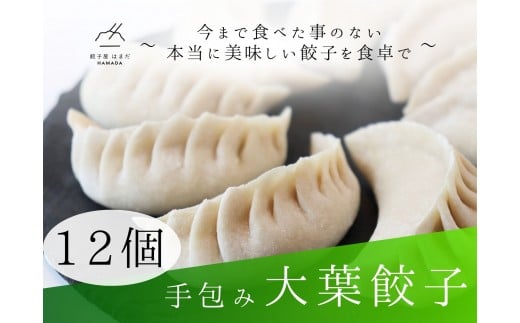手包み大葉餃子Sパック　12個入り