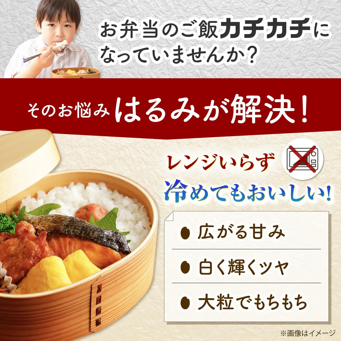 【令和8年産新米予約】【特Aランク受賞実績あり！】はるみ 10kg【井上農園】 米 お米 精米 白米 はるみ[BDBB006-2]