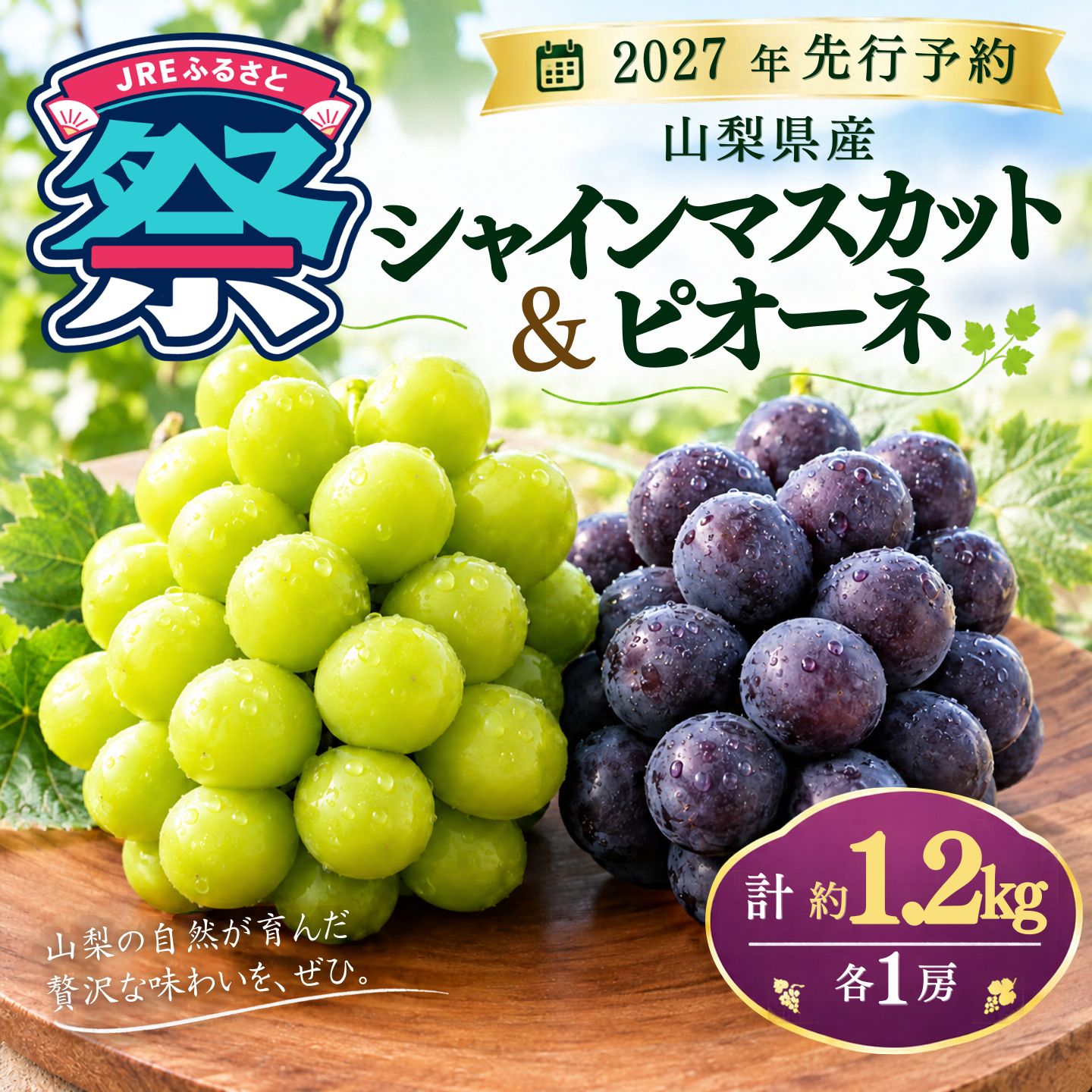 【JRE限定】【2027年 先行予約】山梨県産シャインマスカット&ピオーネ　計 約1.2kg（各1房）