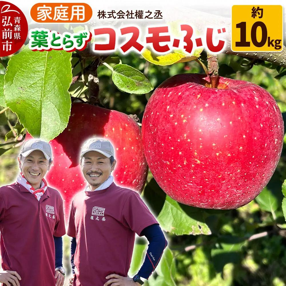 【26年11月下旬～発送】りんご コスモふじ【家庭用】約10kg 權之丞 葉とらずりんご 青森りんご 先行受付 青森県 弘前市 果物 フルーツ 林檎 リンゴ くだもの 不揃い 規格外