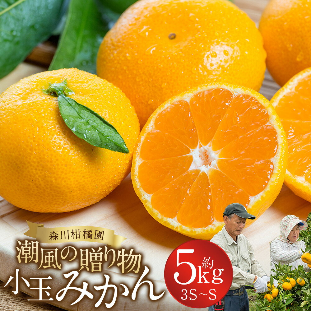 【ふるさと納税】潮風の贈り物 みかん（小玉) 5kg　みかん ミカン 蜜柑 温州みかん 完熟みかん 甘熟 柑橘 有機栽培 国産 佐賀県産 太良町 こだわり 贈答品 産地直送 詰め合わせ 小玉 L18x1 【2026年10月下旬～2027年1月上旬迄発送予定】
