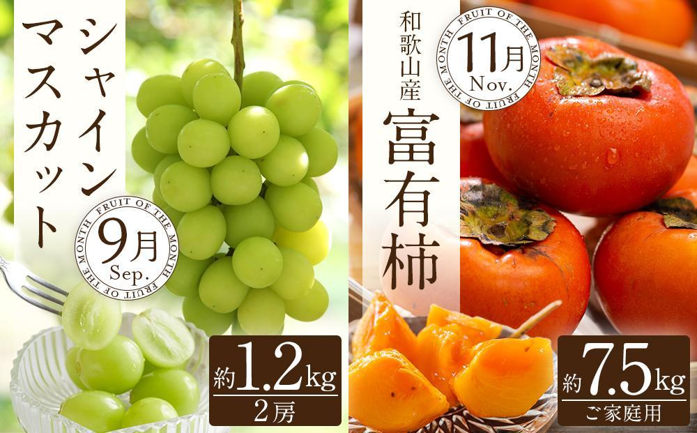 和歌山の旬の果実を 奇数月にお届け全6回定期便【TM49】