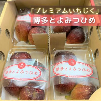 ふるさと納税 北九州市 福岡県産 とよみつ姫 約1.2kg (約300g×4パック入り)【2025年9下旬〜10月末発送】 |  | 02
