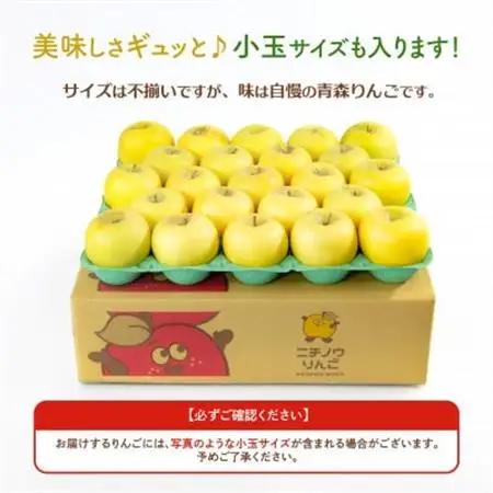 【26年11月から順次発送】平均糖度13度以上! シナノゴールド 約5kg おもてなし用 青森りんご_果物・フルーツ りんご  リンゴ 林檎_【配送不可地域：離島・沖縄県】【1612916】