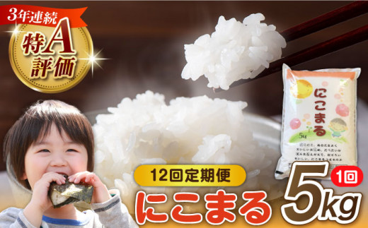 米 【12回定期便】 長崎県産 精米 にこまる 5kg 総計 60kg / 白米 米 お米 こめ コメ ライス ご飯 ごはん 国産 お取り寄せ 仕送り 人気 おすすめ 贈り物 産地直送 5キロ 精米 おこめ kome 送料無料 / 南島原市 / 大松屋商店 [SDR004]