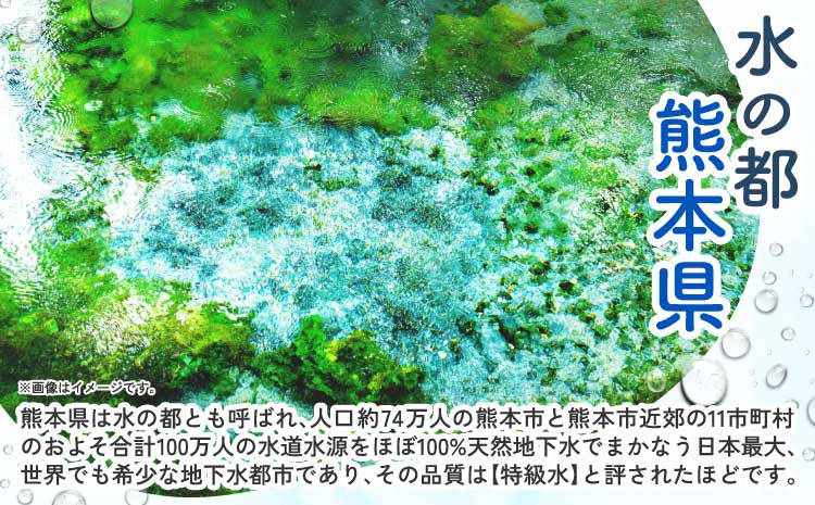 【3ヶ月定期便】熊本のおいしいお水 阿蘇山天然水 500ml×48本（2ケース）