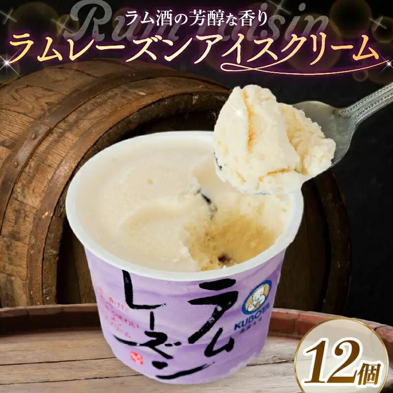 ＼久保田食品 アイス／ ラムレーズンアイスクリーム12個