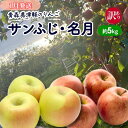 【ふるさと納税】【1月発送】【訳あり】青森県津軽のりんご「サンふじ・名月」約5kg【里いちみfarm】　板柳町　お届け：2025年1月8日～2025年1月30日