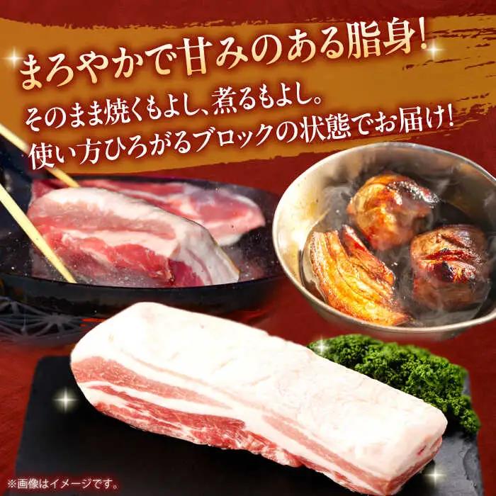 【定期便】 豚肉ブロック 総計9kg NAC615 豚肉 全12回