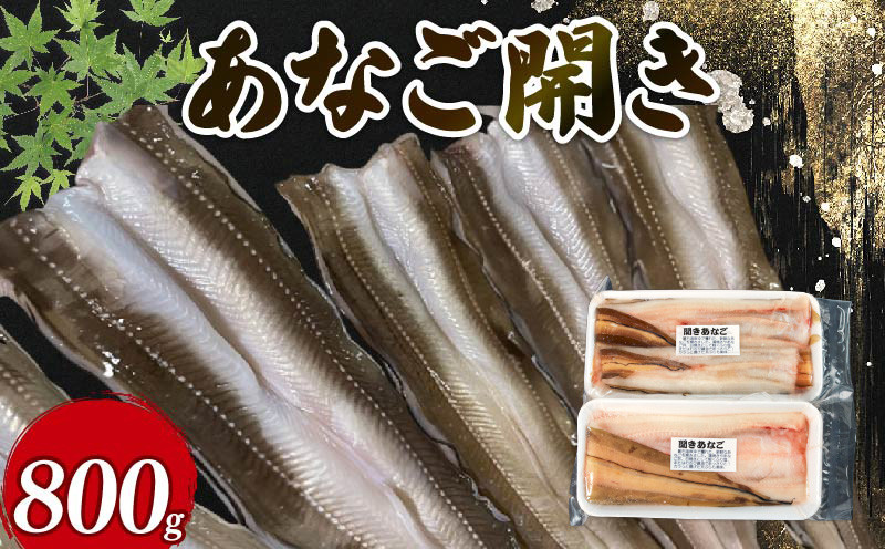 
            あなご開き 2～3パック ( 計800g ) 生あなご 冷凍 蒲焼 お吸い物 天ぷら 煮穴子 和食 海産物 味噌汁 ごはん 夕飯 土用の丑の日 土用の丑 おかず 大船渡 三陸 岩手県 国産
          