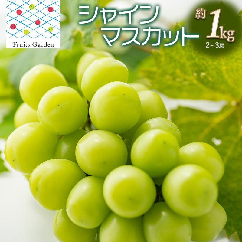 【ふるさと納税】【令和7年産】シャインマスカット 約1kg(2～3房)　山形県鶴岡市　フルーツガーデン