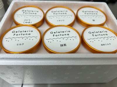 萩市の果物や野菜を使用したイタリアンジェラート｜HGH00002