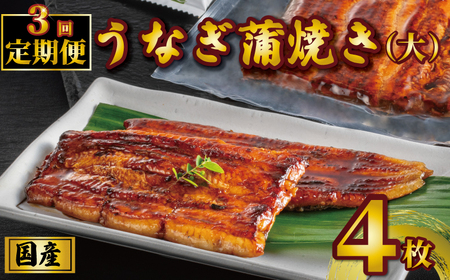 国産うなぎ蒲焼き タレ・山椒付き 4枚 1枚約110g 定期便3回 鰻 鰻 鰻 鰻 鰻 石毛川魚店