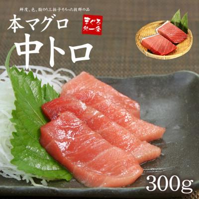ふるさと納税 いわき市 【2ヵ月毎定期便】本マグロ中トロ 真空包装 [約300g(2〜3サク)]全3回