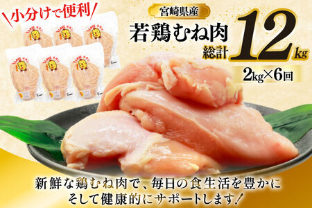 鶏肉 定期便 むね肉 若鶏 鶏むね肉 2kg 6回 総計12kg [ミヤケイフード 宮崎県 美郷町 31bp0011] 鶏むね 鶏胸 むね 冷凍 小分け