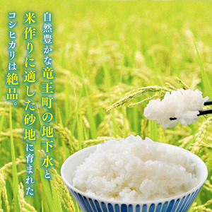 米 こしひかり 特別栽培米 令和7年産 米 20kg 玄米 コシヒカリ 2025年産 国産 農家直送 環境こだわり 小分け お米 こめ おこめ 先行予約 農家直送 産地直送 滋賀県 竜王町      