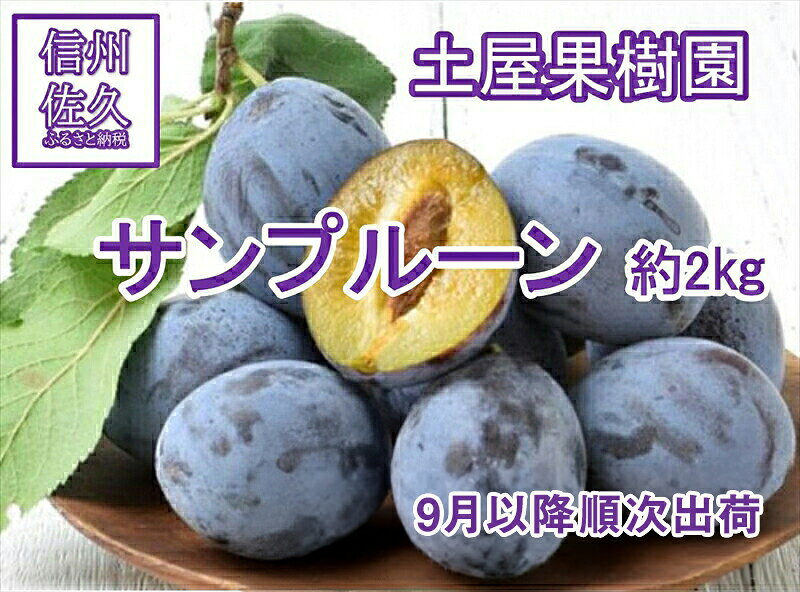 【ふるさと納税】プルーン 約2kg 【先行予約・2026年9月5日～25日出荷】（北海道、沖縄、離島配送不可）サンプルーン 信州 果物 旬彩 期間限定 長野県 生 フルーツ