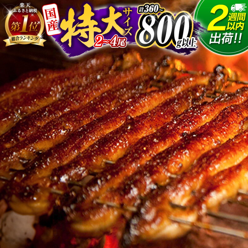 新富町産うなぎ蒲焼4尾 合計760g以上