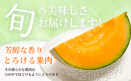 【先行予約】北海道森町産赤肉メロン2～3玉入り（1箱4kg前後）24年6月上旬～8月上旬頃順次発送＜道産ネットミツハシ＞  森町 メロン 果物 赤肉 北海道産 ふるさと納税 北海道 mr1-0142