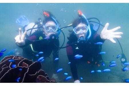 徳島・日和佐NAUIスクーバダイバー認定コース（資格取得コース）3日間講習