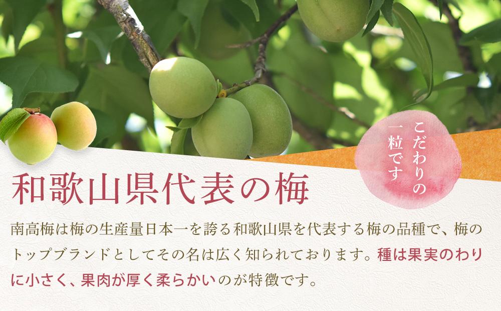 【2026年6月上旬以降発送】紀州南高梅(完熟梅) 5kg〈2Lサイズ〉