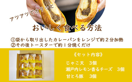 カレーパン グランプリ金賞受賞 カリットカリー 9個（3種×3個） 詰合せ 冷凍 温めるだけ