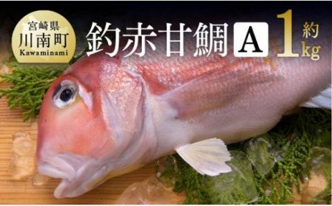 『釣赤甘鯛 Ａ』_鮮魚さかな九州宮崎川南町新鮮魚介海の幸魚介類たい送料無料魚介 [D04408]