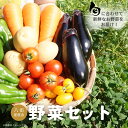 【ふるさと納税】野菜セット 八街産直会 産地直送 秋冬野菜 旬野菜ボックス 採れたて 新鮮野菜 常温配送 6～7品