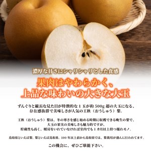 DS-08　王秋梨 5kg