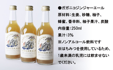 【炭酸飲料】 ガガニコジンジャーエール 6本セット (250ml×6本)【 炭酸 飲料 ドリンク 飲み物 ノンアルコール ジンジャー 北限のゆず ゆず 生姜 ショウガ しょうが 】