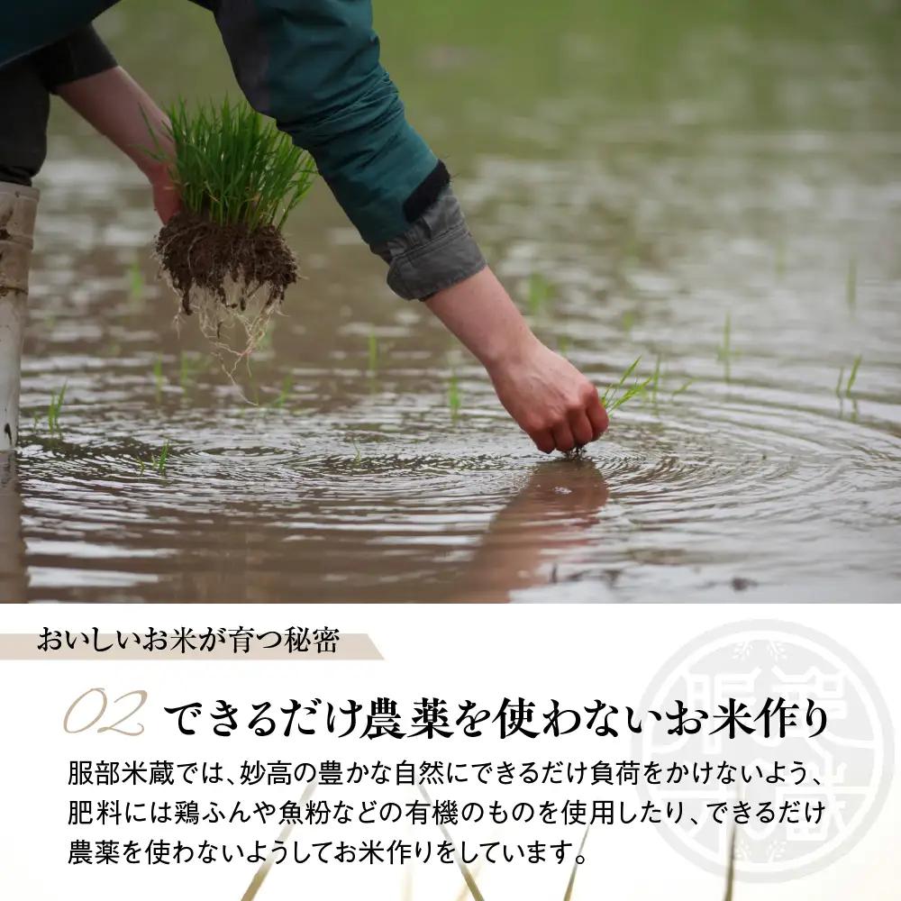 先行予約【令和8年産】【定期便】服部米蔵の妙高矢代産コシヒカリ 5kg×6回 計30kg
