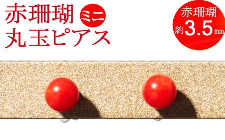 【ケンセン35】赤珊瑚 丸玉ピアスミニ / チタン｜室戸 ブランド ピアス