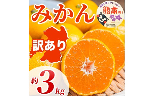 先行予約 訳あり みかん サイズミックス 約3kg （3S~3L）【2026年10月上旬～2027年2月下旬発送予定】訳あり みかん ミカン 蜜柑 果物 フルーツ くだもの 柑橘国産 熊本県 宇城市 規格外 不揃い 傷あり サイズミックス 日本フルーツ