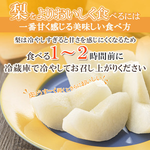 栃木県産 なし 梨 新高 3kg 9～10月発送予定 | お取り寄せ 果物 くだもの フルーツ 梨 なし プレゼント ご褒美 甘い 贈答 秋 大きい 高評価 ナシ 8月 9月 10月 栃木県 真岡市 