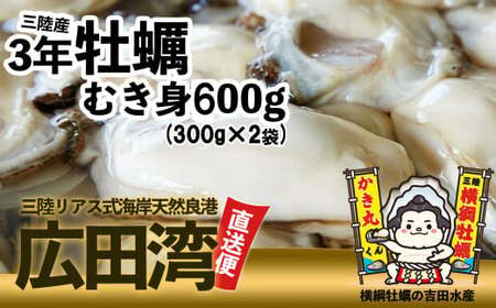 横綱牡蠣！吉田水産のむき身牡蠣 Mサイズ 600g(300g×2p) 【 むき身 牡蠣 かき 大粒 小分け 加熱用 冷蔵 三陸 リアス海岸 広田湾 3年牡蠣 】RT2265 牡蠣 牡蠣 牡蠣 牡蠣 牡蠣 牡蠣 牡蠣 牡蠣 牡蠣 牡蠣 牡蠣 牡蠣 牡蠣 牡蠣 牡蠣 牡蠣 牡蠣 牡蠣 牡蠣 牡蠣 牡蠣 牡蠣 牡蠣 牡蠣 牡蠣 牡蠣 牡蠣 牡蠣 牡蠣 牡蠣 牡蠣 牡蠣 牡蠣 牡蠣 牡蠣 牡蠣 牡蠣 牡蠣 牡蠣 牡蠣 牡蠣 牡蠣 牡蠣 牡蠣 牡蠣 牡蠣 牡蠣 牡蠣 牡蠣 牡蠣 牡蠣 牡蠣 牡蠣 牡蠣 牡蠣 牡蠣 牡