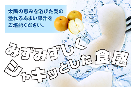 【数量限定・先行受付】JAくまの梨 5kg（14～16玉）≪2024年8月上旬発送開始≫【 梨 なし ナシ 豊水梨 秋月梨 新興梨 熊本県 旬 くまの梨 期間限定 】004-0671
