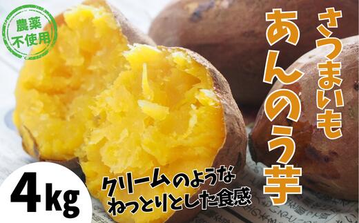 【ふるさと納税】【先行予約】あま～い蜜がたっぷり 安納芋 4kg さつまいも 農薬不使用 サツマイモ 生芋 ねっとり おいしい 甘い あんのう芋 薩摩 芋 焼き芋 ギフト やきいも 焼芋 干し芋 干しいも 生 秋 野菜 兵庫県 香美町 むらおか夢アグリ 10月以降順次発送 41-13