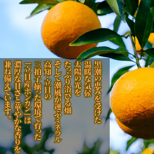 立目産 ポンカン 5kg 贈答用 2026年1月 下旬より順次発送 【みかんみかん】