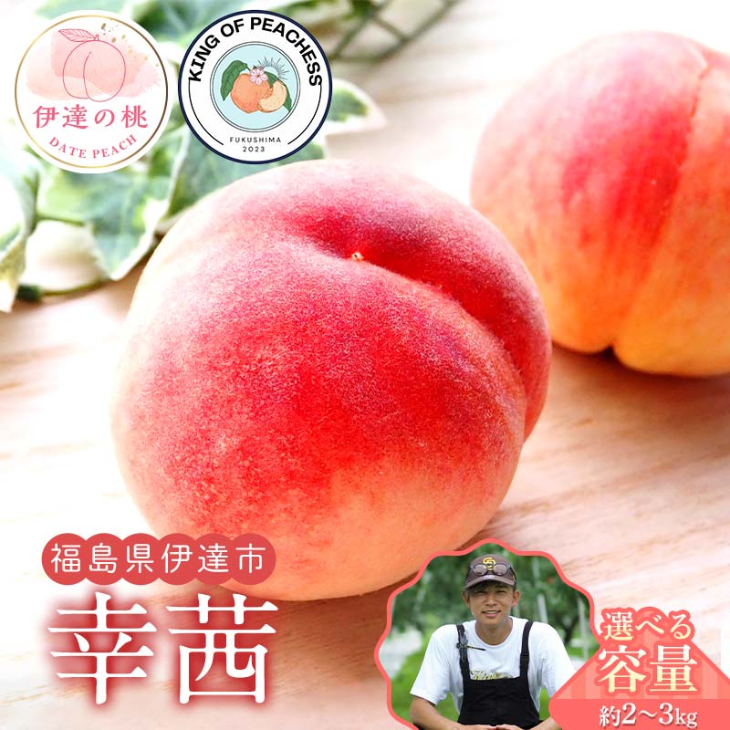 【ふるさと納税】＼容量が選べる／キングオブピーチ 桃 「幸茜」約2kg～3kg 幸茜 伊達の桃 桃 もも モモ 果物 くだもの フルーツ 国産 食品 F21C-141var