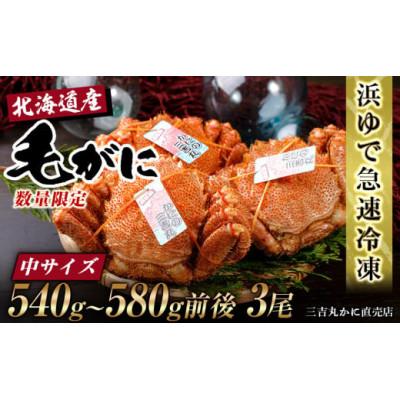 ふるさと納税 白老町 北海道産ボイル毛ガニ 540g〜580g前後×3尾 冷凍