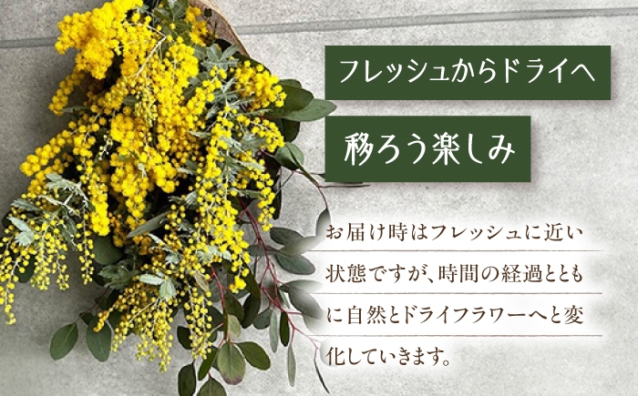 ミモザ スワッグ ユーカリ 花飾り 花 インテリア 雑貨 花束 ドライフラワー