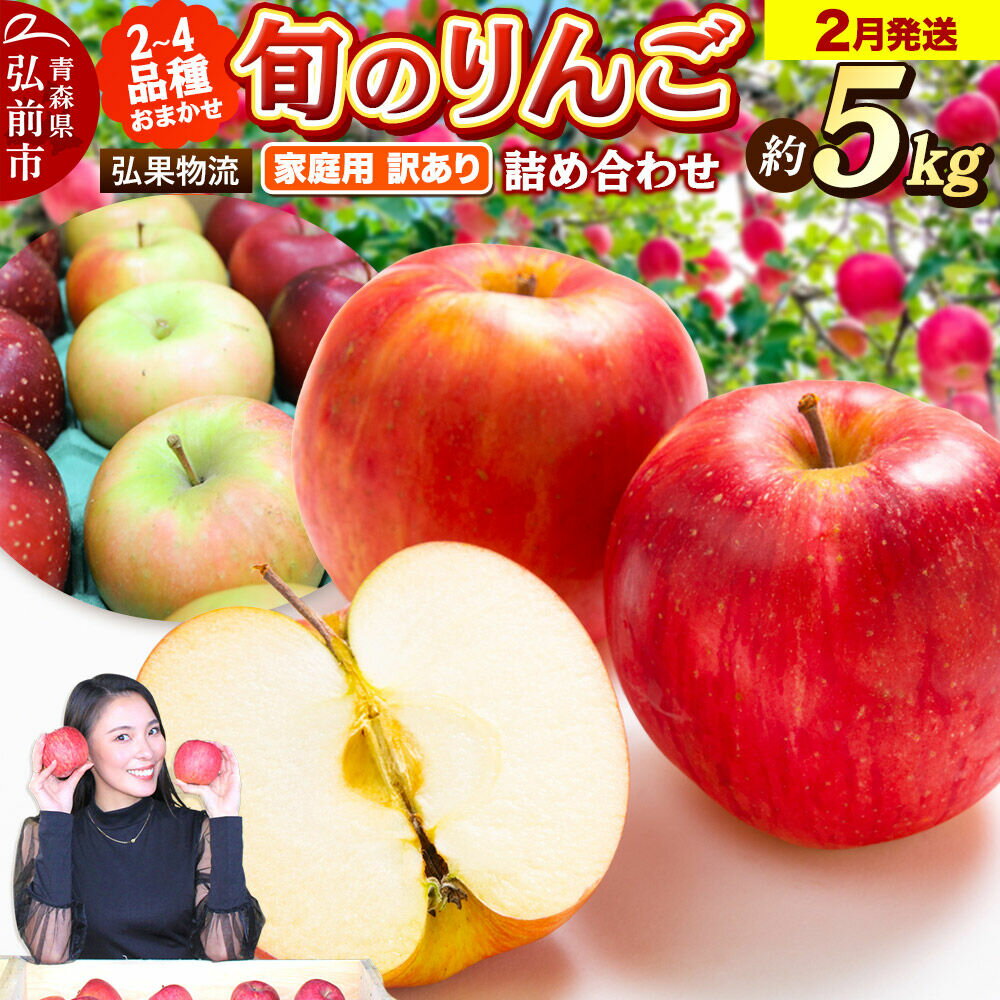 【ふるさと納税】【27年2月発送】りんご 家庭用 訳あり 旬のりんご 品種おまかせ 約5kg 2品種〜4品種 [アップル おいしい りんご 果実 果物 美味 林檎]