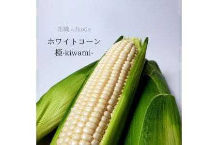 M011　ホワイトコーン極－Ｋｉｗａｍｉー（レギュラー）