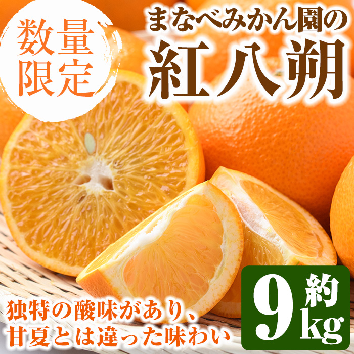 ＜2025年2月上旬以降発送予定＞まなべみかん園の紅八朔(約9kg)国産 柑橘類 みかん ミカン 蜜柑 果物 フルーツ【有限会社まなべみかん園】a-14-11