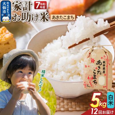 ふるさと納税 大仙市 定期便12ヶ月 白米 家計お助け米 あきたこまち 5kg  R8年|22_kml-060512