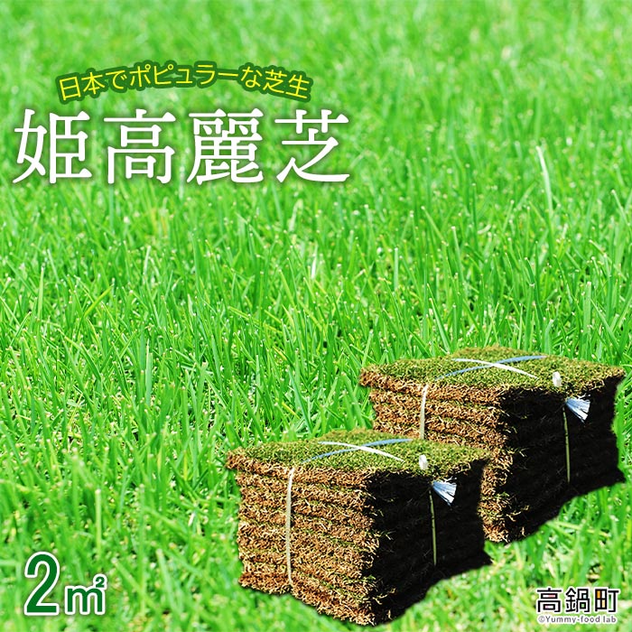 【ふるさと納税】＜姫高麗芝 2平方メートル＞ ※2か月以内に順次出荷 天然 高密度 DIY ガーデニング 日向芝 宮崎県 高鍋町【常温】