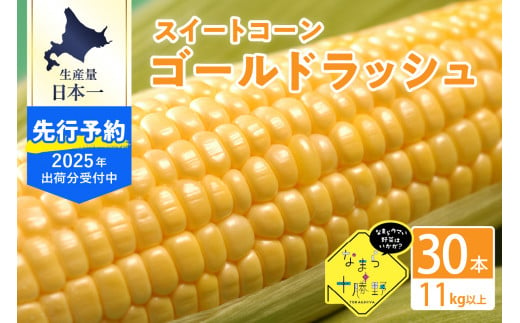 【2025年分先行予約】北海道十勝芽室町 なまら十勝野のスイートコーン ゴールドラッシュ(30本) me001-011c-25